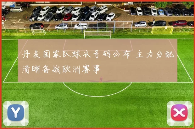 丹麦国家队球衣号码公布 主力分配清晰备战欧洲赛事