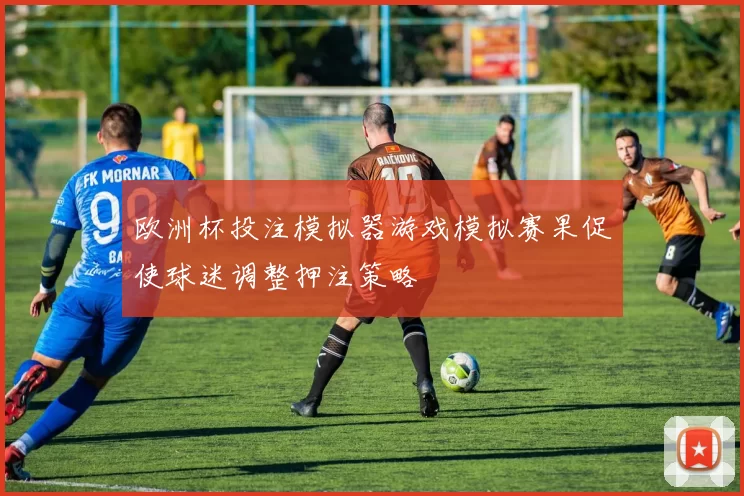 欧洲杯投注模拟器游戏模拟赛果促使球迷调整押注策略