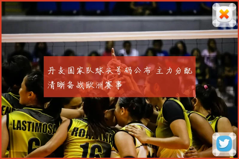 丹麦国家队球衣号码公布 主力分配清晰备战欧洲赛事