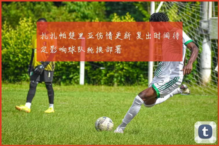 扎扎帕楚里亚伤情更新 复出时间待定影响球队轮换部署