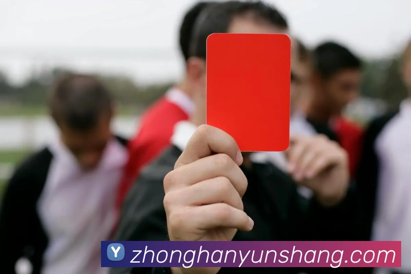 爱游戏app中国官方网站APP 封面图
